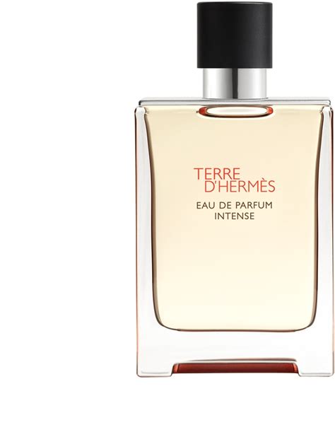 terre de hermes opiniones